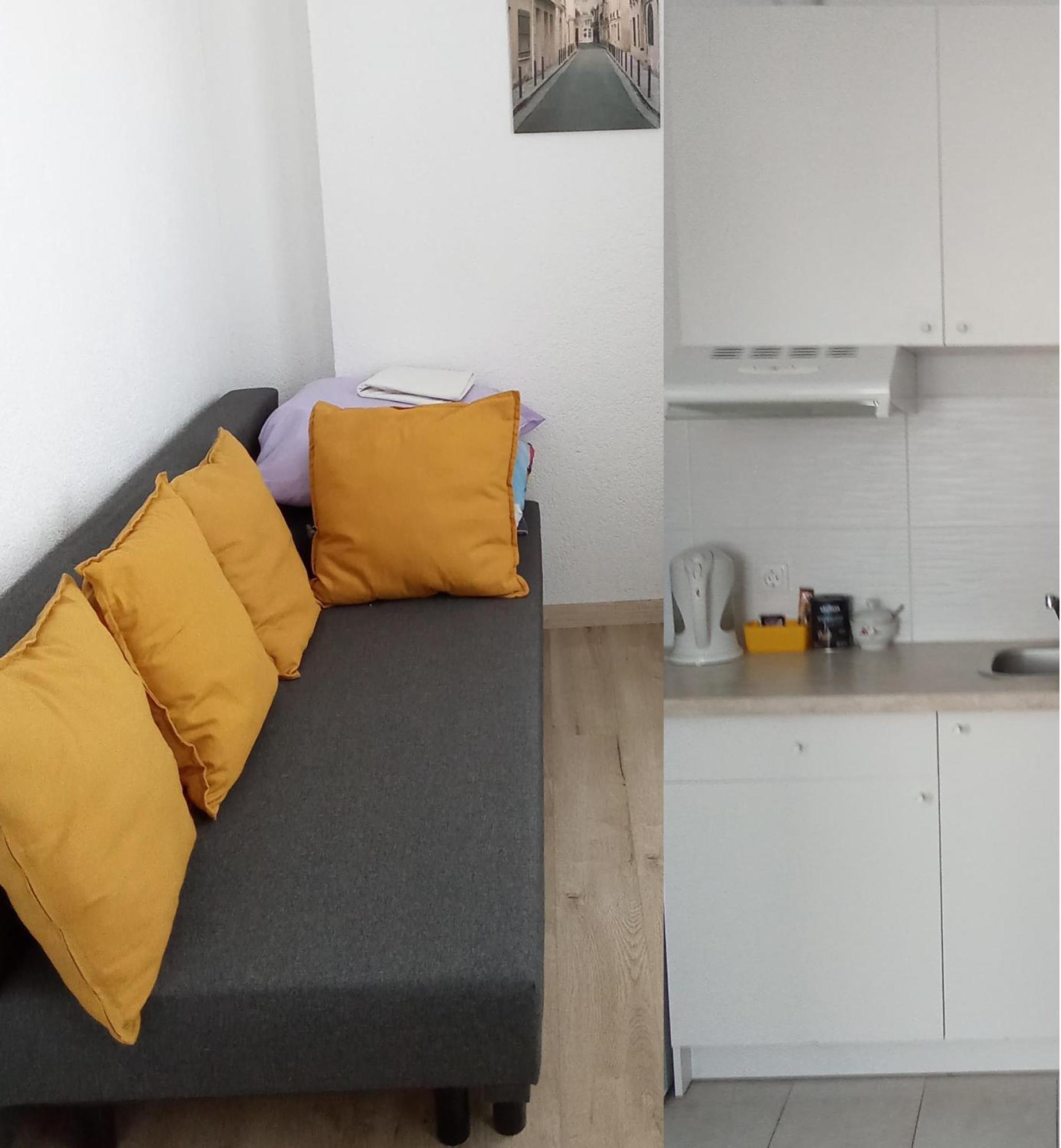 Miko Apartamentai Kaunas Eksteriør billede